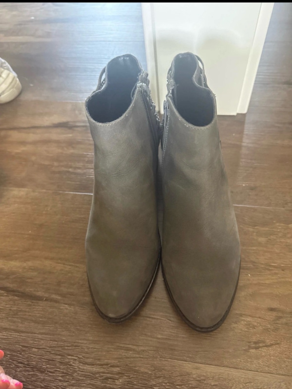 Steve Madden Grey-Tone Suede Ankle Booties